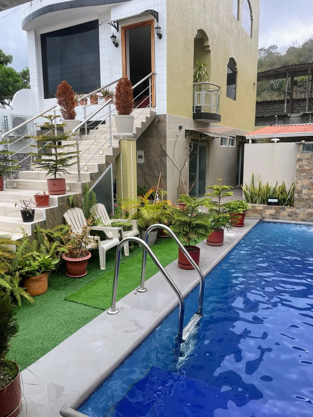 La piscina, con las tumbonas y las plantas alrededor