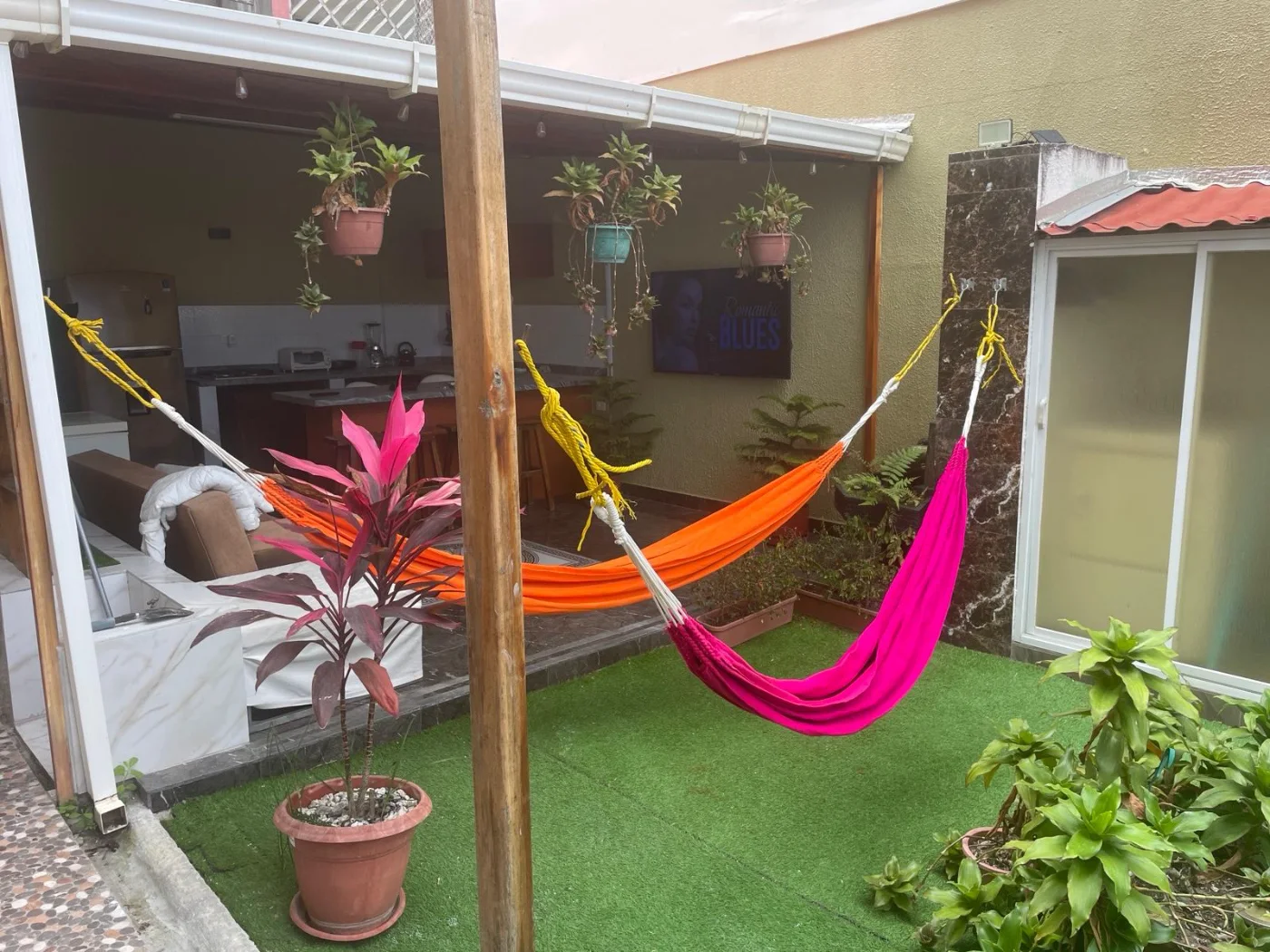 Las hamacas colgadas entre las plantas